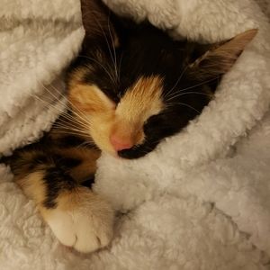 RESERVED FOR ROBIN S.  ONLY.